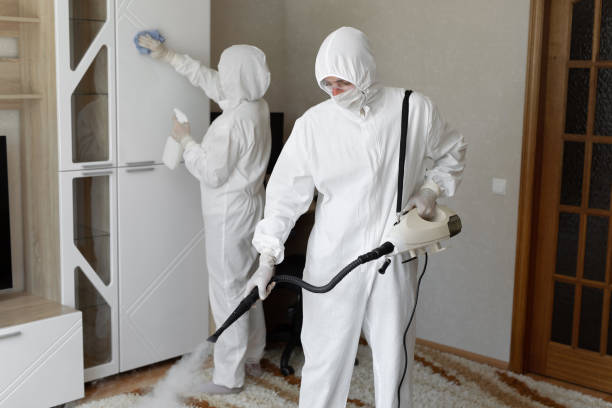 Best Mold Damage Repair  in Lake City, MN